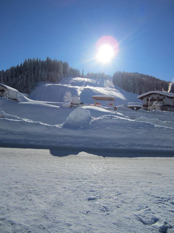 Ferienhaus Hoell Rußbach am Paß Gschütt Exteriör bild